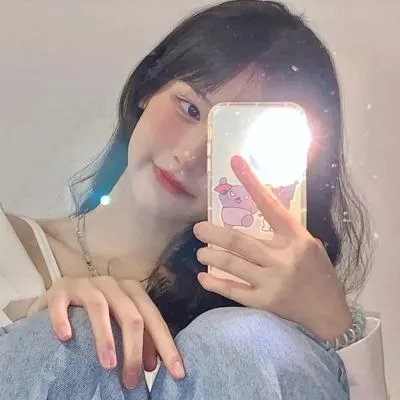 完美的独裁国家