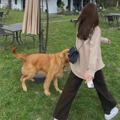 唐顿庄园第六季